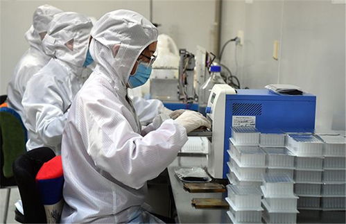 央廣網新聞中心 生物科技研發領域的創新與突破