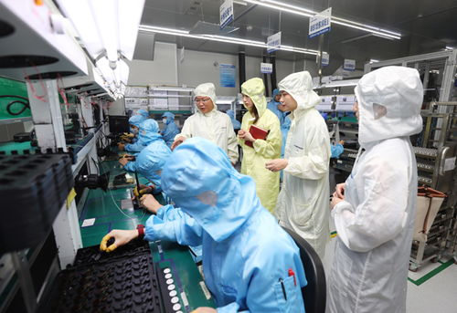 科技金融賦能新質生產力 構建生物科技研發的創新技術流與評價體系